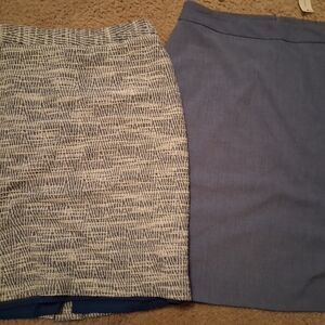 Banana Republic Blue and Ivory Pencil Skirt Set